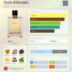 Terre d'Hermès EDT Sample | 2ml 5ml 10ml Decants - ScentDrop